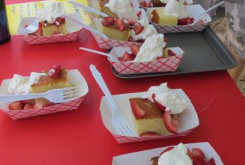 Plymouth Strawberry Festival